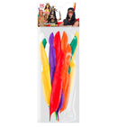 Set Of 12 Native Indian Feathers 35 Cm - 6 Col. Ass