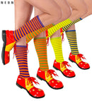 Neon Striped Socks 4 Color Combinations Ass.