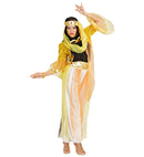 Harem Dancer  Shirt, Sequin Jacket, Pants With Veils, Belt, Headpiece With Veils 