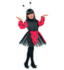 Ladybug  Dress, Antennas 