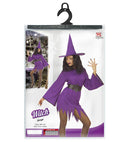 Witch  Dress, Belt, Hat 