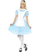 Alice In Wonderland Princess Costume Adult Blue Dress Apron and Headband 1