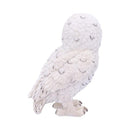 Snowy Watch Small White Owl Ornament 13.3cm 3