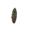 Spring Equinox Wall Mounted Tree Spirit 13.5cm 4