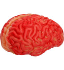 Human Size Bloody Brain