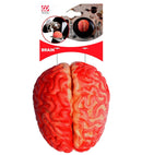 Human Size Bloody Brain