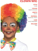 Childs Clown Wig Multi Coloured Afro Styled Circus Costume Rainbow Hair 2