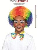 Childs Clown Wig Multi Coloured Afro Styled Circus Costume Rainbow Hair 4