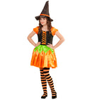 Holographic Sequin Pumpkin Witch  Dress, Hat 