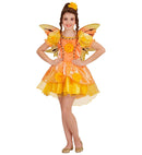 Summer Fairy  Dress, Wings 