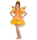 Summer Fairy  Dress, Wings 
