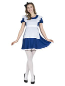 Adult Alice Costume Dress and Headband 1