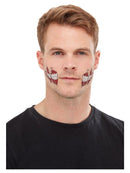 Smiffys Makeup FX Zombie Face Transfer Green Facepaint Blood Pencils Transfer Sponge 2