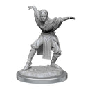 Half-Elf Monk Female: Pathfinder Deep Cuts Unpainted Miniatures (W21) 2