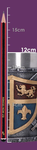 Heraldic Tankard a Majestic Blend of Tradition and Craftsmanship 18cm 7