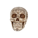 Voodoo Spirits Commune Skull 20cm 2