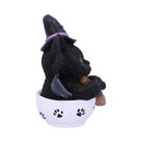 Kittea Novelty Tea Cup Witch Cat Figurine Kit-tea 11.5cm 4