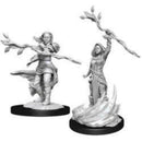 Male Human Druid D and D Nolzurs Marvelous Unpainted Miniatures Miniature Game by Wiz Kids 5