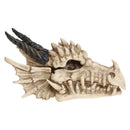 Fantasy Gothic Dragon Skull Trinket Box 20cm 4