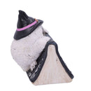 Owl with book Figurine 15cm Owls Spell 5