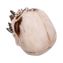 Bite the Bullet Skull Ornament 4