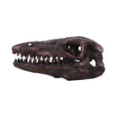 Archaeopteryx Skull Decorative Resin Replica 18cm 3