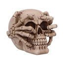 Cracked Decorative Resin Skull 15cm 1