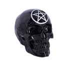 Black Magic Skull 19.5cm 2