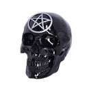Black Magic Skull 19.5cm 3