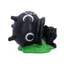 Ooops Black Cat Ornament 8.7cm 5