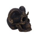 Diabolus Horned Skull 18cm 6