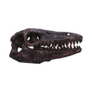 Archaeopteryx Skull Decorative Resin Replica 18cm 1