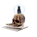 Lisa Parker Spirits of Salem Snow Globe 3