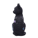 Nine Lives Cat Figurine 22cm 3