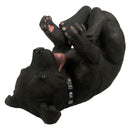 Staffordshire Bull Terrier Dog Guzzler Wine Bottle Holder Guzzlers 25cm 4
