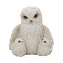 Feathered Family Beautiful Snowy Owl Trio 21.5cm 2