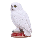 Wizards Familiar White Owl Figurine 10cm Hedgewig 2