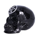 Black Magic Skull 19.5cm 4