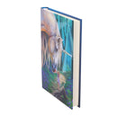 Lisa Parker Fairy Whispers Journal 17cm 3