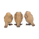 Three Wise Robin Figurines 8cm Robins 4