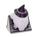 Owl with book Figurine 15cm Owls Spell 4