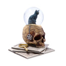 Lisa Parker Spirits of Salem Snow Globe 6