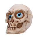 Eyes Wide Open Blue Decorative Resin Skull 12cm 3