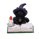 Familiars Spell Black Cat Oranment Familiars 8.5cm 2