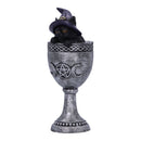 Coven Cup Black Cat Ornament 15.7cm 3
