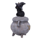 Witch Cat Cauldron Box 14cm Kittys Brew 4