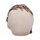 Rose Flame Decorative Skull With Sleeping Dragon 14.5cm 4