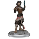 Shifter Fighter D and D Nolzurs Marvelous Unpainted Miniatures W20 Miniature Game by Wiz Kids 2