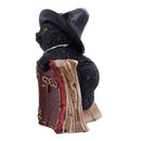 Kittys Grimoire Figurine in Red 8.2cm 2