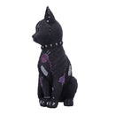Bad to the Bone Cat Figurine 22cm 3